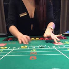 ppvip4